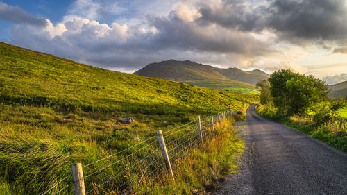 Road amidst green landscape against sky