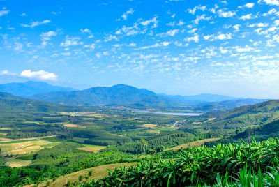 Scenic view of agricultural landscape against sky