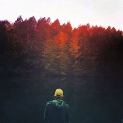 Rear view of person standing on tree trunk