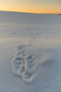 Footprints on snow covered land