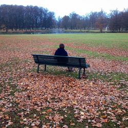 Bench on grassy field