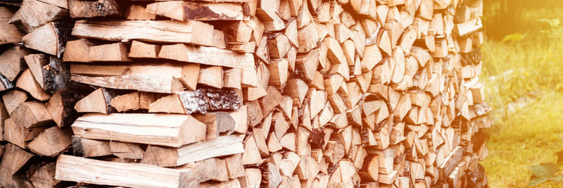 Full frame shot of wooden logs in forest