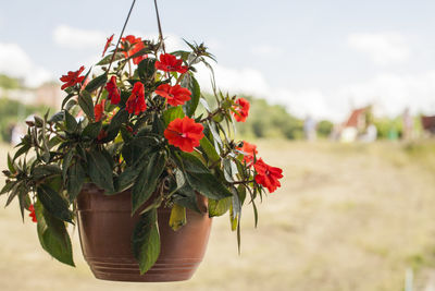 Close-up of red flower pot against sky