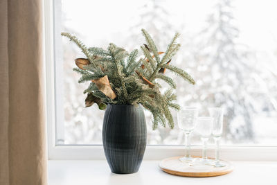 Christmas composition of christmas tree branches in a black vase on the window of a cozy house