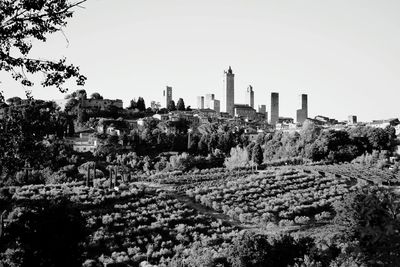 Panoramic view of trees and buildings against clear sky