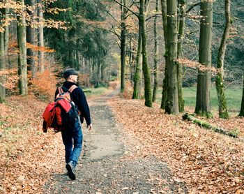 Rear view of man walking on footpath in forest