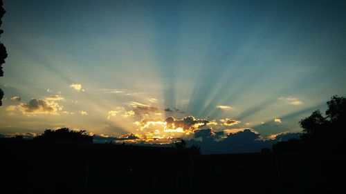 Silhouette trees against sky during sunset