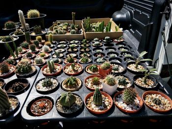 High angle view of various vegetables for sale