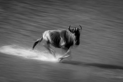 Low angle view of man standing in water