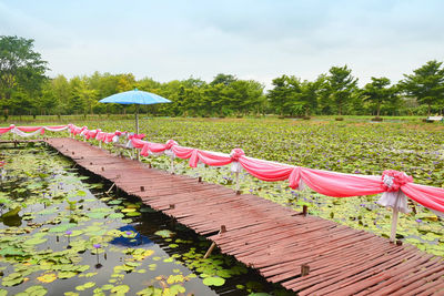 Scenic view of pink and lake against sky