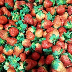 Full frame shot of strawberries