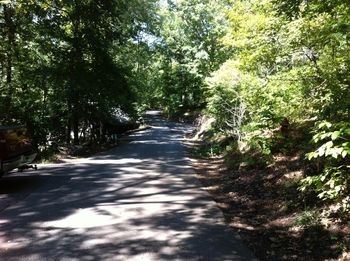 Road amidst trees in forest