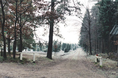 Dirt road amidst trees