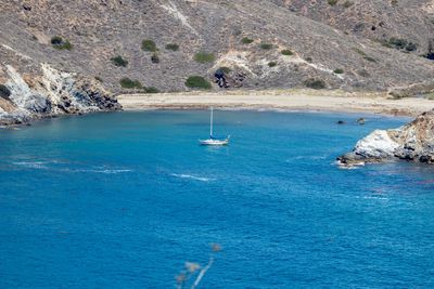 Sailboats sailing in sea