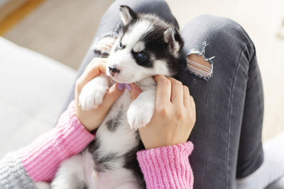 Midsection of woman holding dog