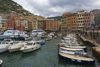 Boats moored at harbor against buildings in city