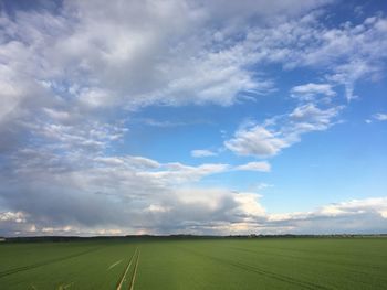 Scenic view of agricultural field against sky