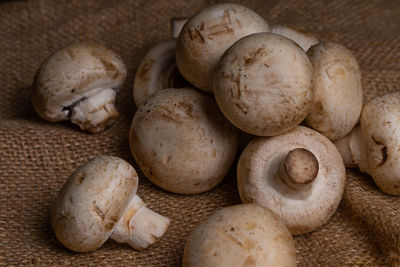 High angle view of mushrooms