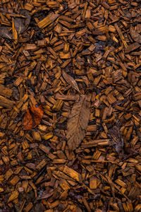 Full frame shot of burnt firewood