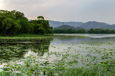 Scenic view of lake against sky