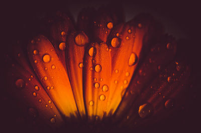 Full frame shot of raindrops on wet glass
