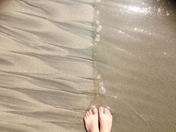 Low section of person on sand at beach