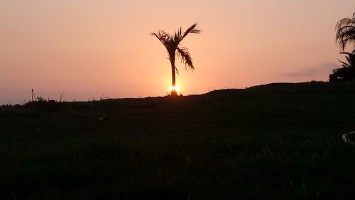 Silhouette of field against sky during sunset