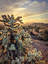 Scenic view of landscape against sky during sunset