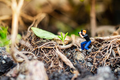 Close-up of small figurine on land