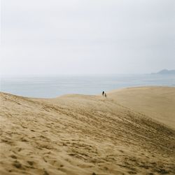 Scenic view of beach against clear sky