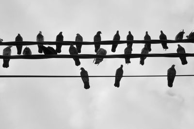 Low angle view of clothespins hanging on clothesline against sky