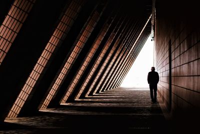 Rear view of silhouette man walking on staircase in building