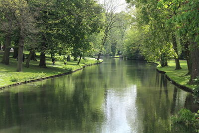 Scenic view of lake by trees