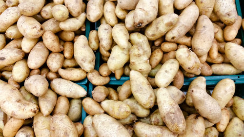 Directly above shot of potatoes