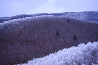 cold temperature
