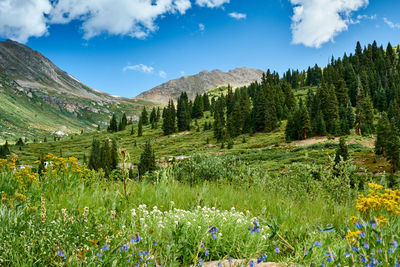 Scenic view of landscape against sky