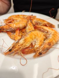 shrimp