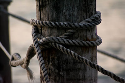 Close-up of rope tied on wooden post