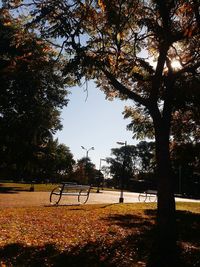 Trees in park against sky during autumn