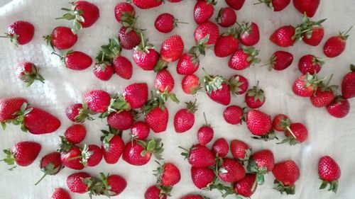 Close-up of strawberries