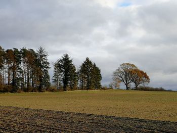 Trees on field against sky