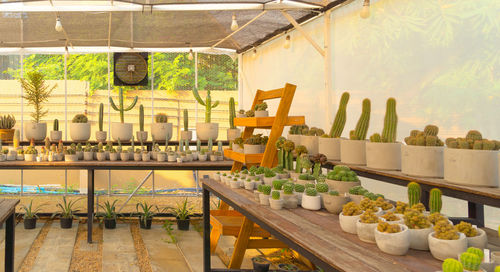 High angle view of food on table