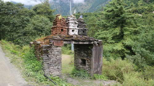 Old ruin amidst trees in forest