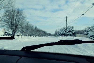 Bare trees seen through car windshield