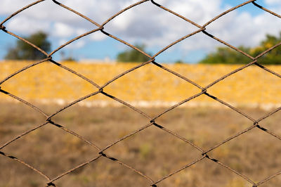 Rusty metal fence mesh close-up on the background of the field in summer