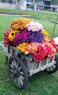 Close-up of multi colored flower bouquet