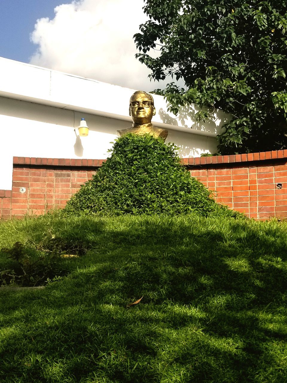 architecture, green color, built structure, plant, building exterior, tree, growth, nature, building, day, grass, house, representation, front or back yard, sky, human representation, outdoors, front view, looking at camera, cloud - sky, no people, hedge