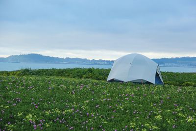 Tent on grassy field against river