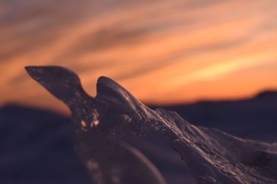 Close-up of water against sky during sunset