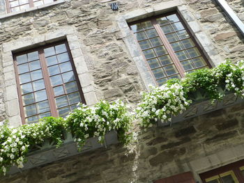 Low angle view of building